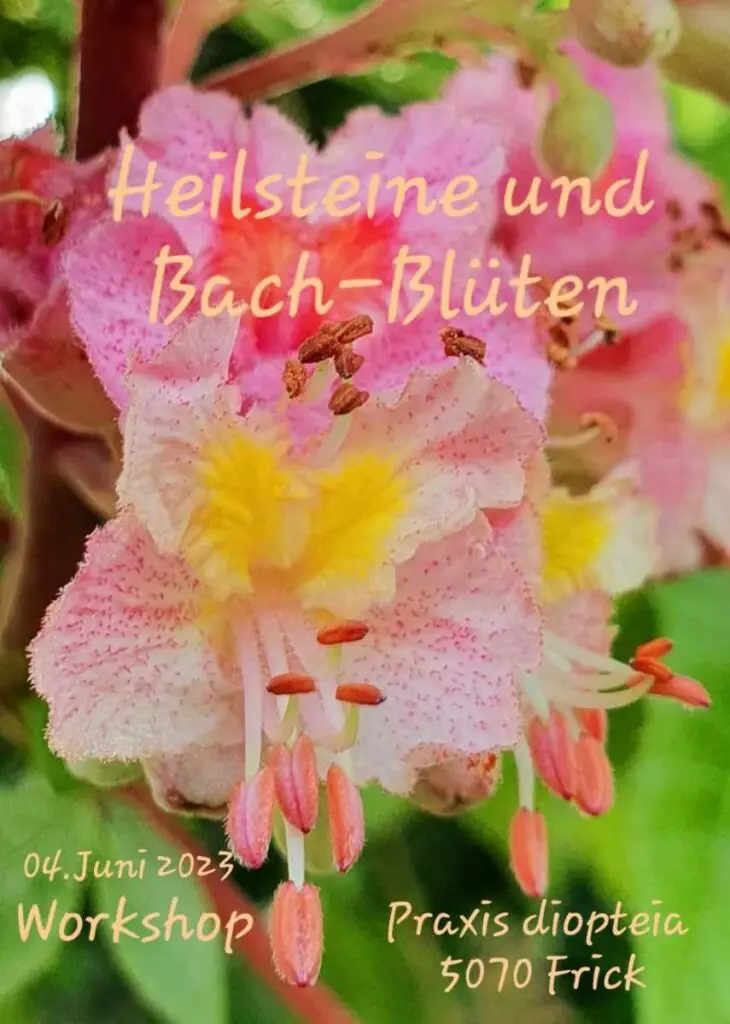 Heilsteine und Bach-Blüten - Workshop