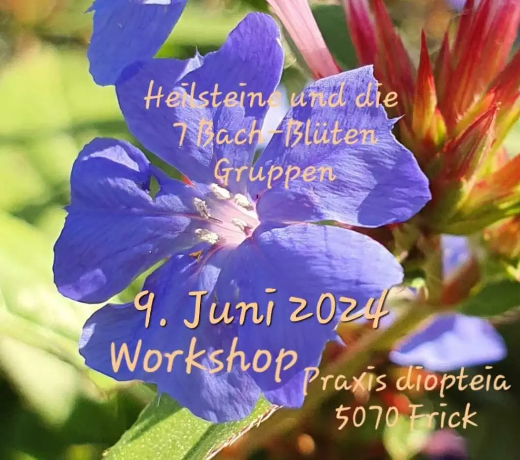 Heilsteine und die 7 Bach-Blüten Gruppen