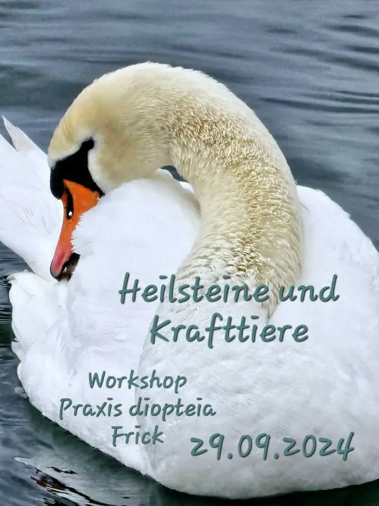 Workshop - Heilsteine und Krafttiere